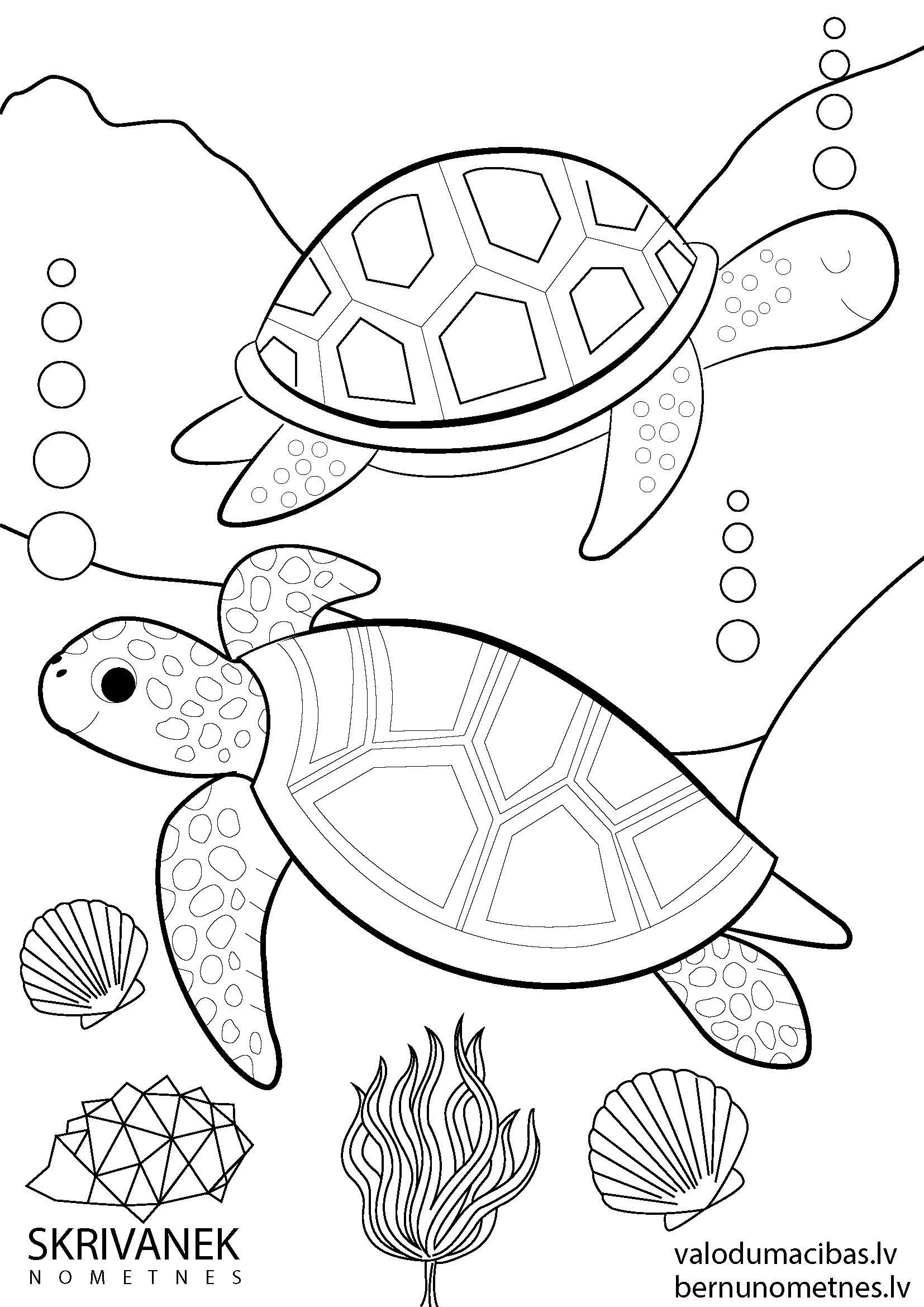 Skrivanek bezmaksas krāsojamās lapas bērniem, Bruņurupuči