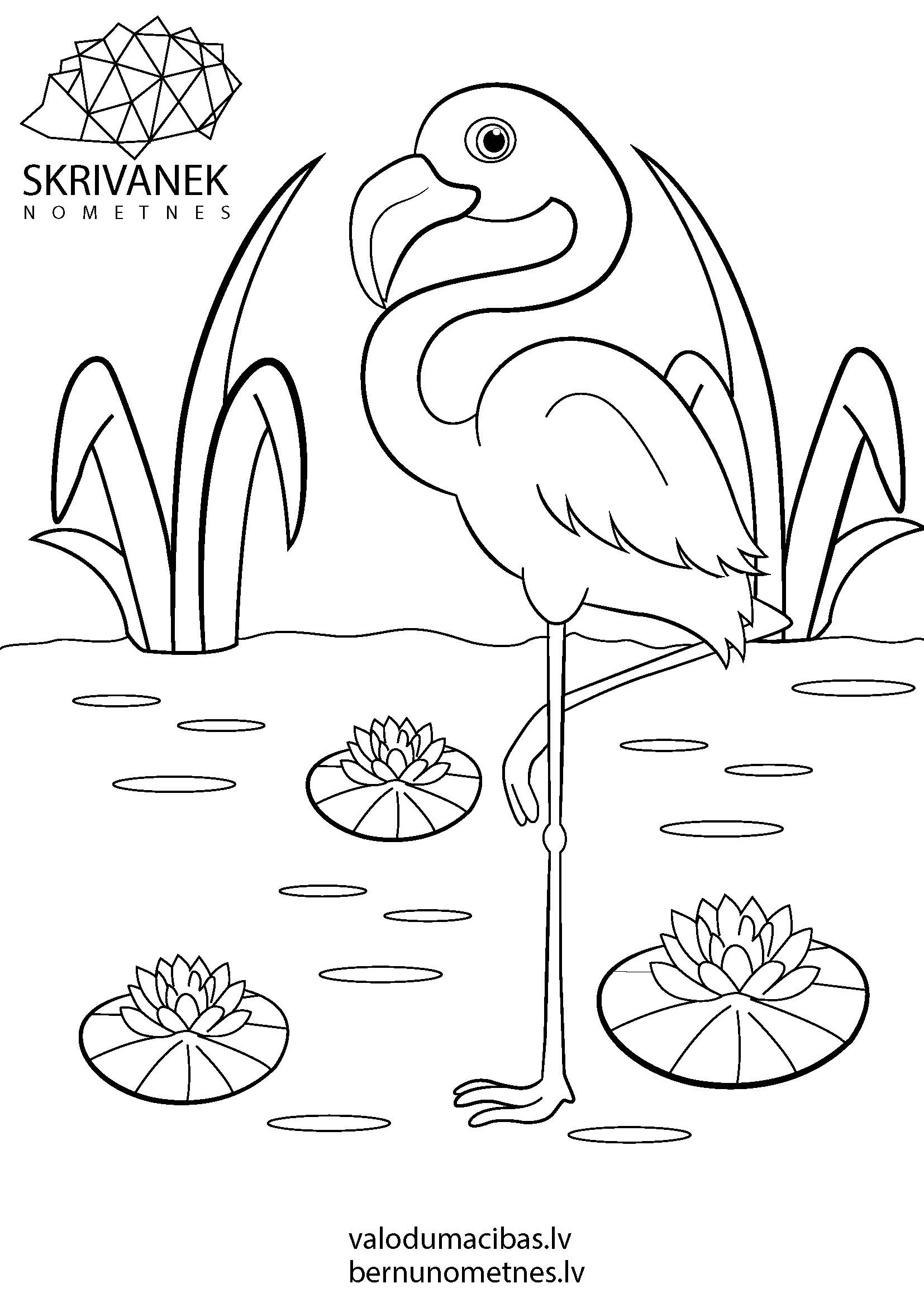 Skrivanek bezmaksas krāsojamās lapas bērniem, Flamingo