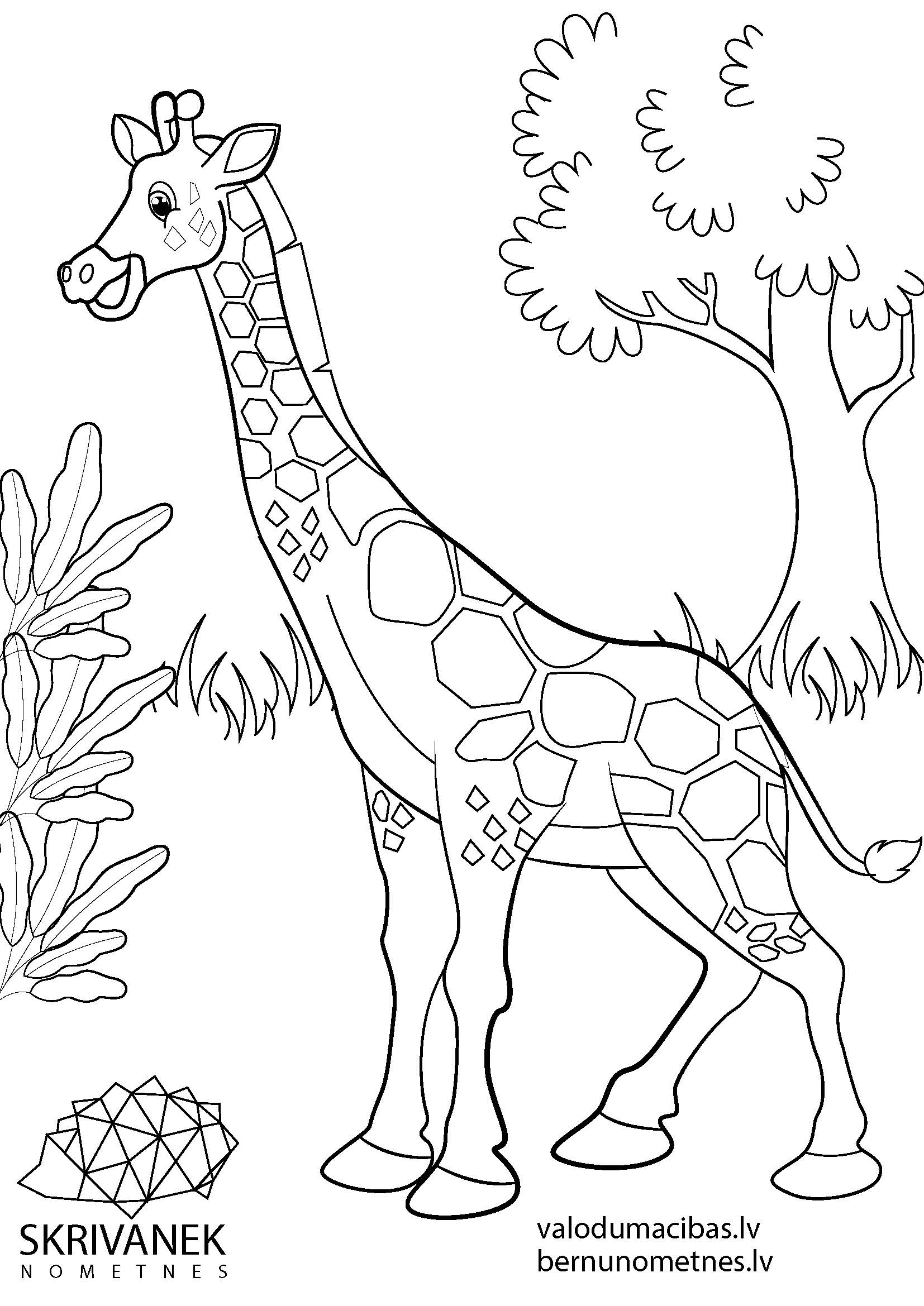 Skrivanek bezmaksas krāsojamās lapas bērniem, Žirafe
