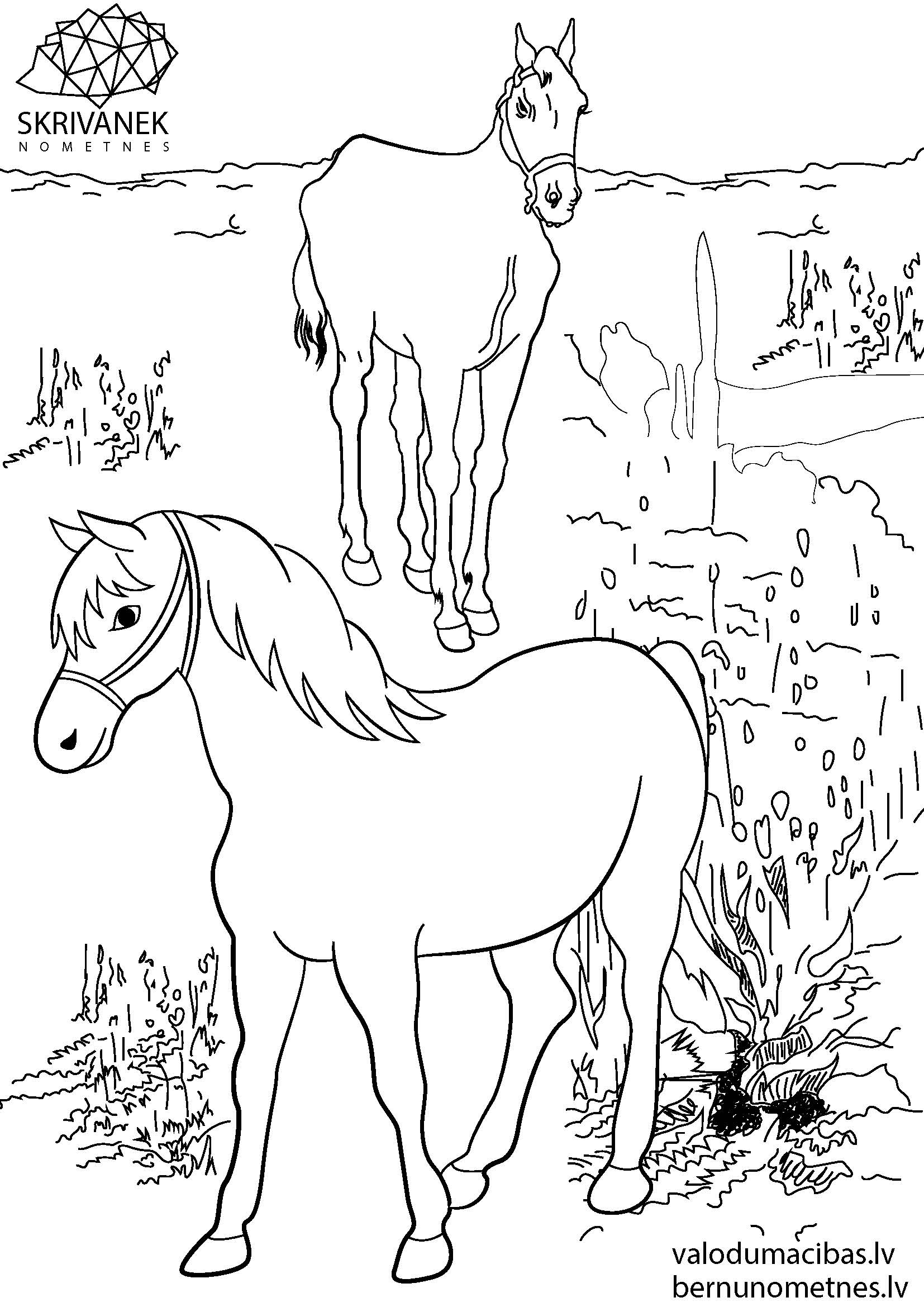 Skrivanek bezmaksas krāsojamās lapas bērniem, Zirgi